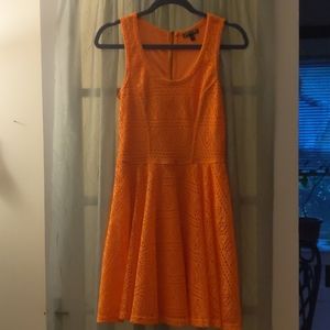 Express - Orange Skater Dress